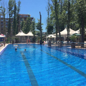 Apartment in Sunny Beach